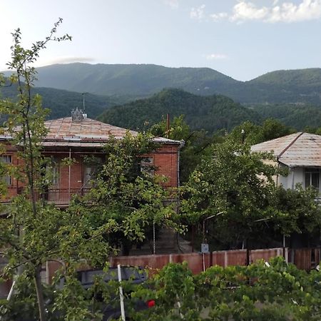 Ambrosador Guest House Ambrolauri Bagian luar foto