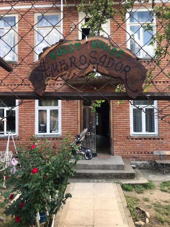 Ambrosador Guest House Ambrolauri Bagian luar foto