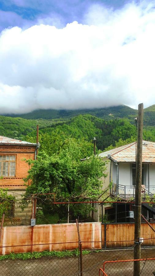 Ambrosador Guest House Ambrolauri Bagian luar foto