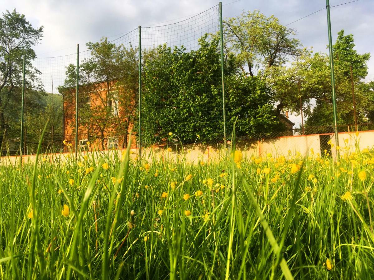 Ambrosador Guest House Ambrolauri Bagian luar foto